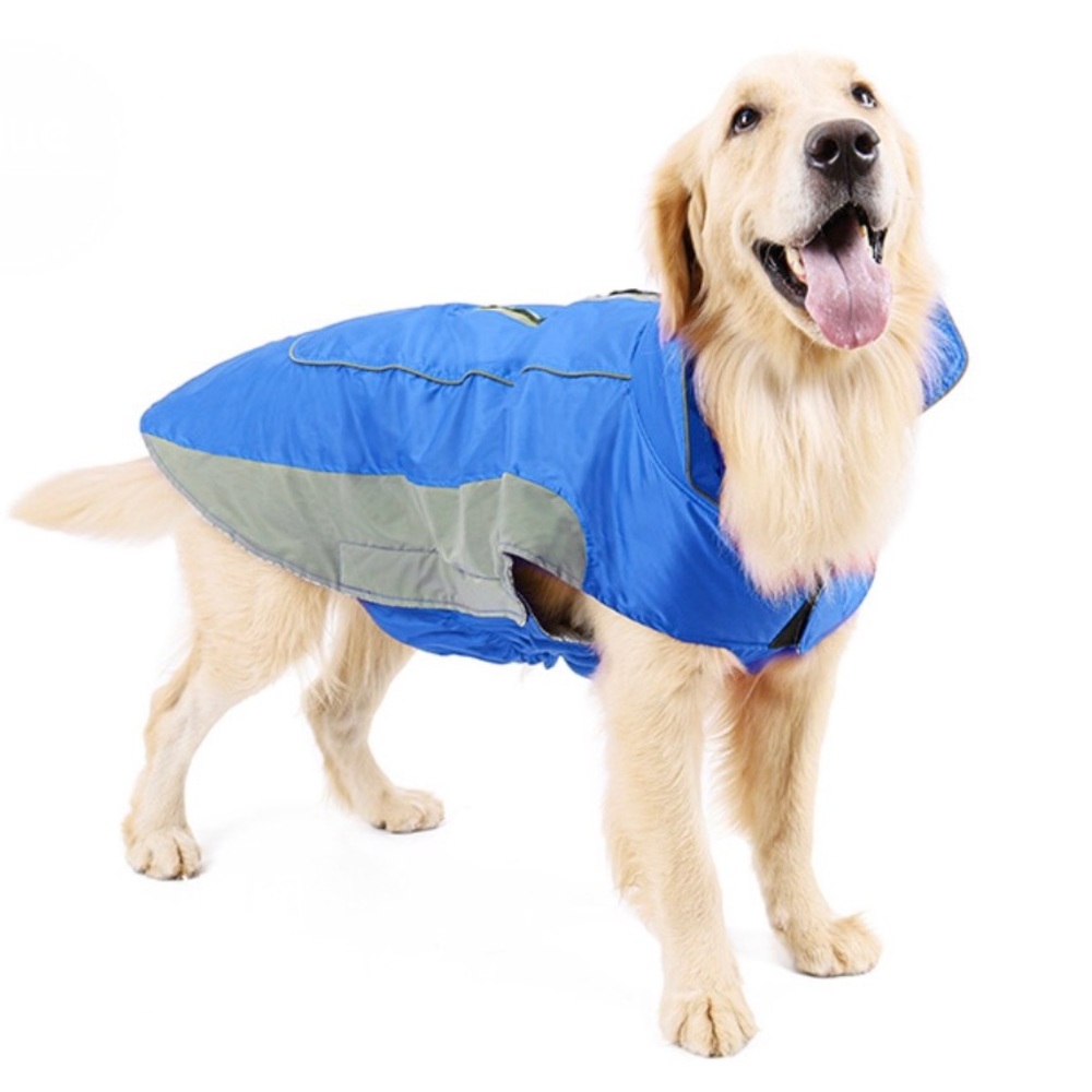 Blue and Gray Dog Clothing Labrador Retriever